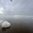 Winter Foam on Ocean Beach San Francisco