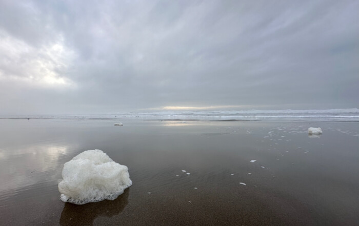 Winter Foam on Ocean Beach San Francisco
